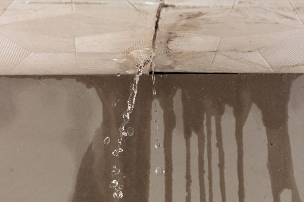 Professional Water Extraction technician working in Bellport, NY